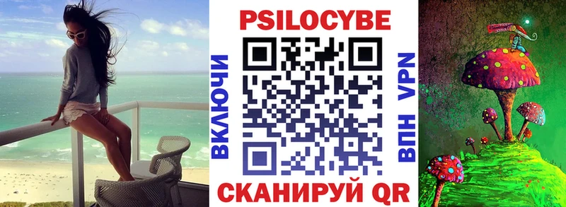 дарнет шоп Власиха Галлюциногенные грибы Cubensis